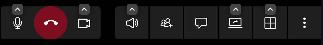 A screenshot of the call action bar during a call providing buttons to hang-up, change audio settings, share screen, etc.